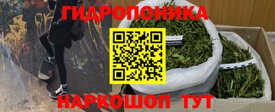 эйфоретик Аргун
