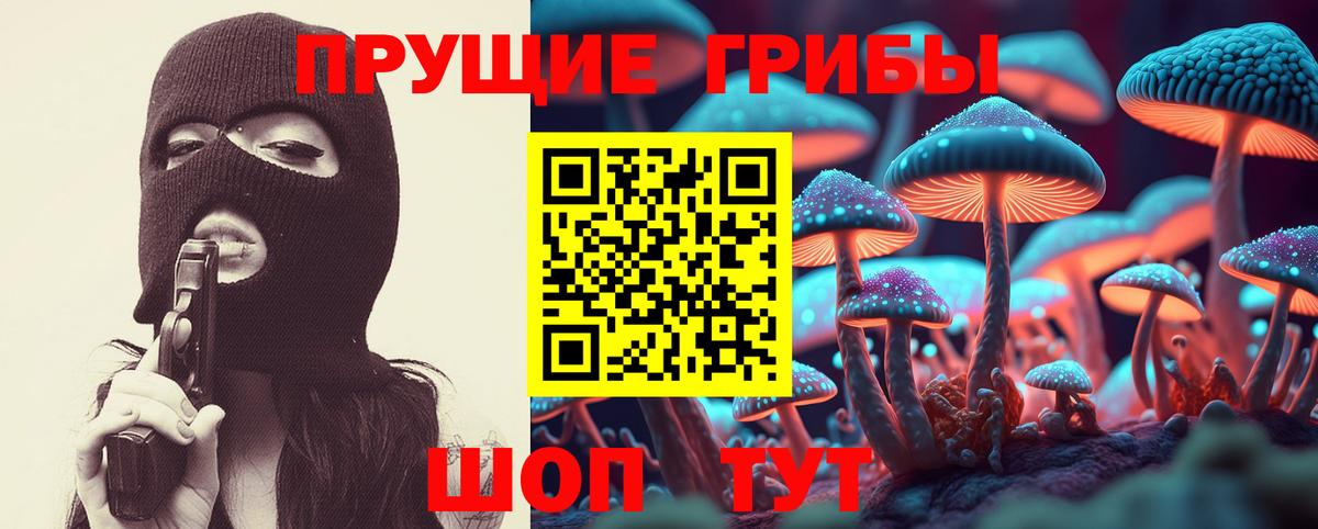 Псилоцибиновые грибы мицелий Боровичи