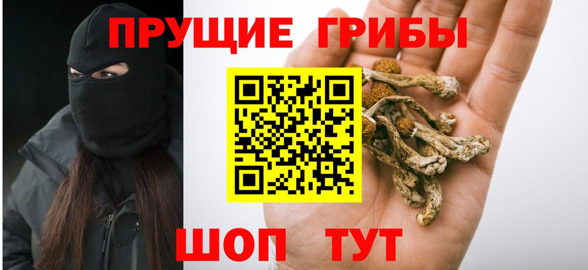 Галлюциногенные грибы GOLDEN TEACHER  Галлюциногенные грибы GOLDEN TEACHER  Вход с VPN  Боровичи 